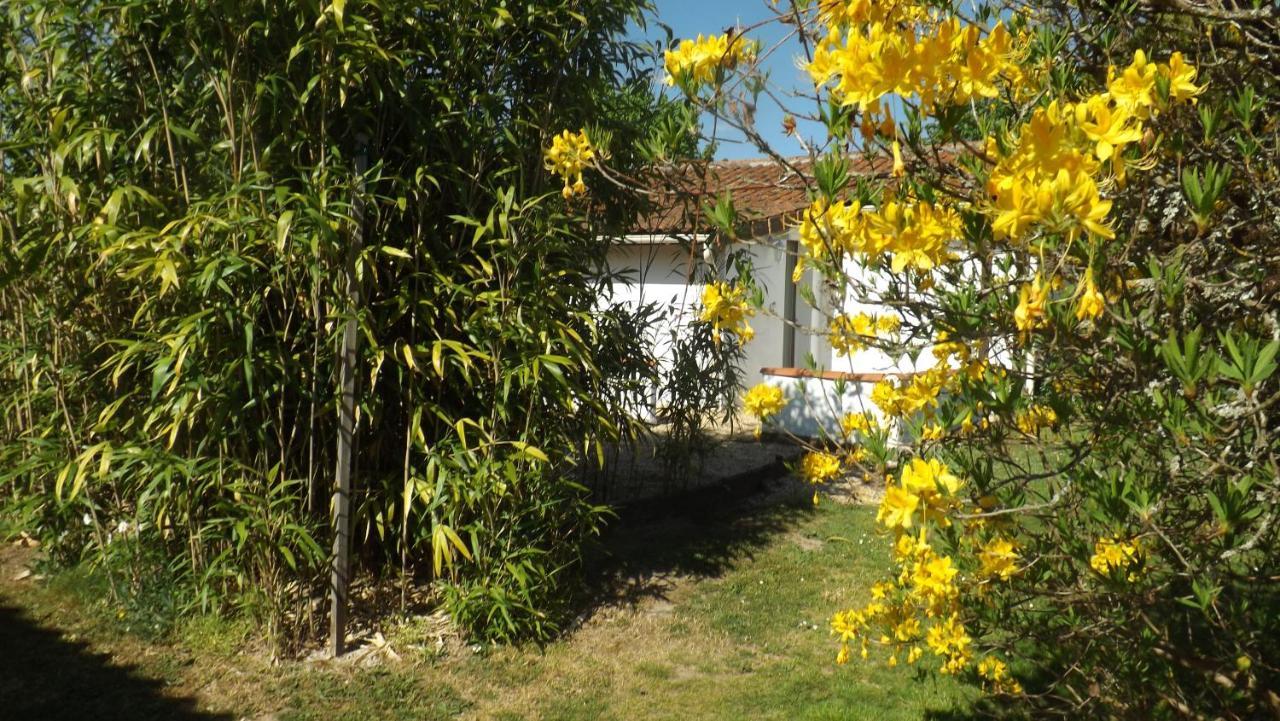 Breesfalt Gite Accomodation Villa Maisonnais-Sur-Tardoire Dış mekan fotoğraf